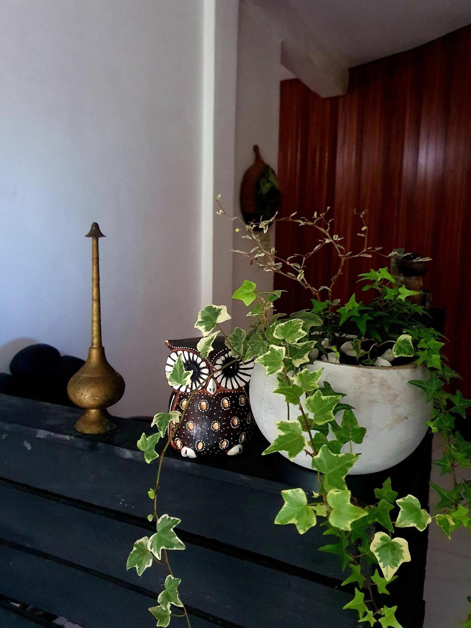 Kai Kazee Ella Hotel Kültér fotó